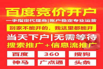 百度SEO推广技巧案例分析